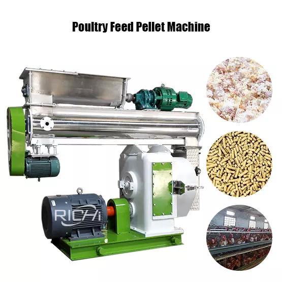 Complete set pellet making machine for poultry feed
