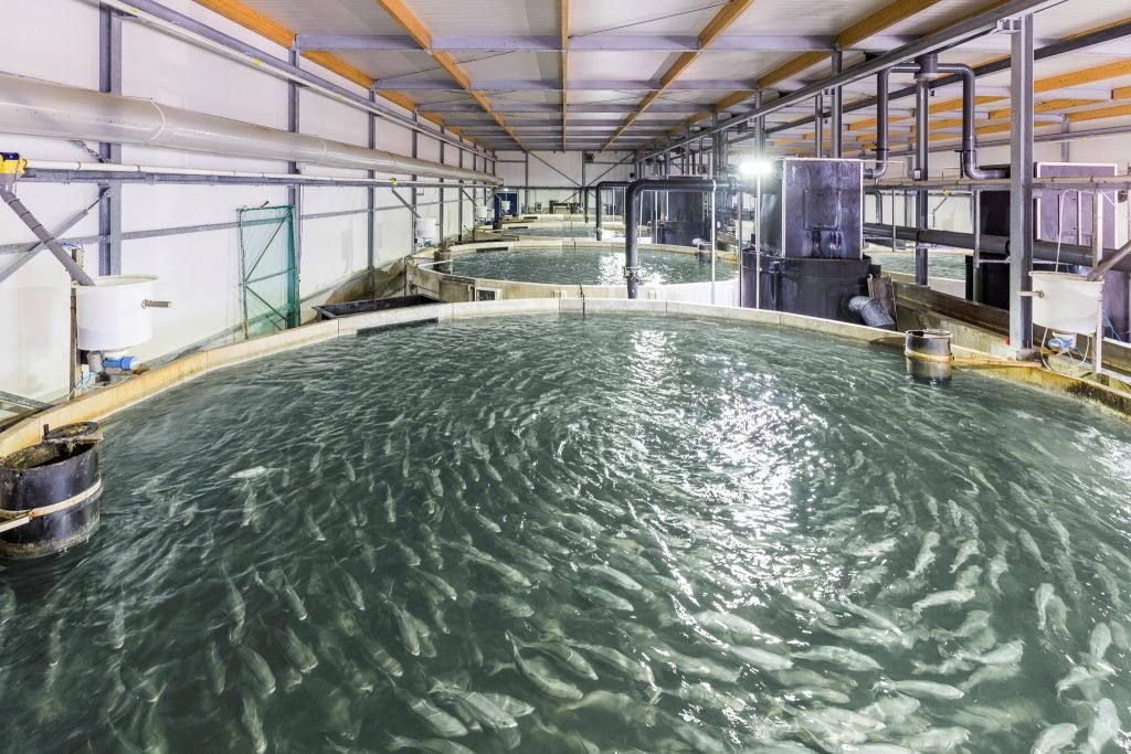 Fish Feed Machine Be Used For Small-Scale Aquaculture Operations